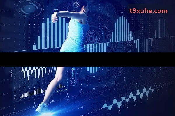 t9体育架构体系图